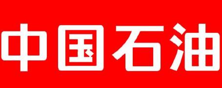 中國(guó)石油廣西石化公司總經(jīng)理雍瑞生簡(jiǎn)歷，廣西石化領(lǐng)導(dǎo)班子